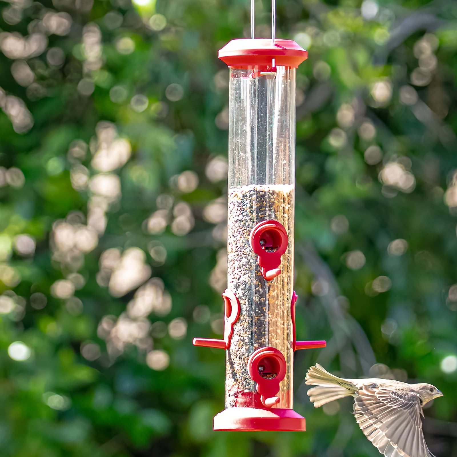 Kingsyard 2 Pack Tube Feeders with 6 Feeding Ports for Outdoors Hanging, Premium Hard Plastic Weatherproof & Steel Hanger, Attracting for Wild Birds (Black)