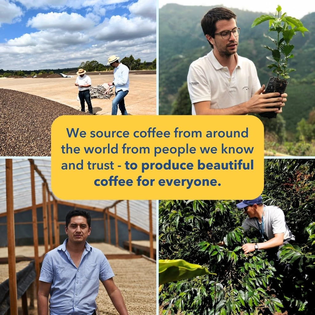 PARTNERS COFFEE ROASTERS - Whole Bean Coffee (Bedford - Espresso, Medium Roast) 12oz - Fruity, Complex, Espresso - Whole Coffee Beans - Lab Tested for Mycotoxins & Heavy Metals - Hand Roasted in NYC