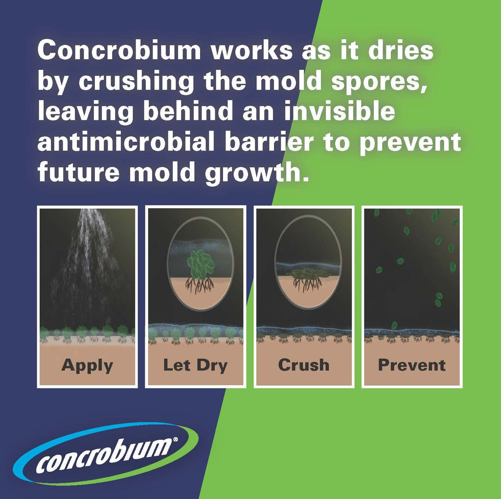 Concrobium Mold Control Aerosol, 14.1 oz – Eliminates & Prevents Mold – EPA Registered, Bleach-Free, Odorless, VOC-Free – For Indoor & Outdoor Surfaces, Mid-Sized Jobs, and Hard-to-Reach Areas