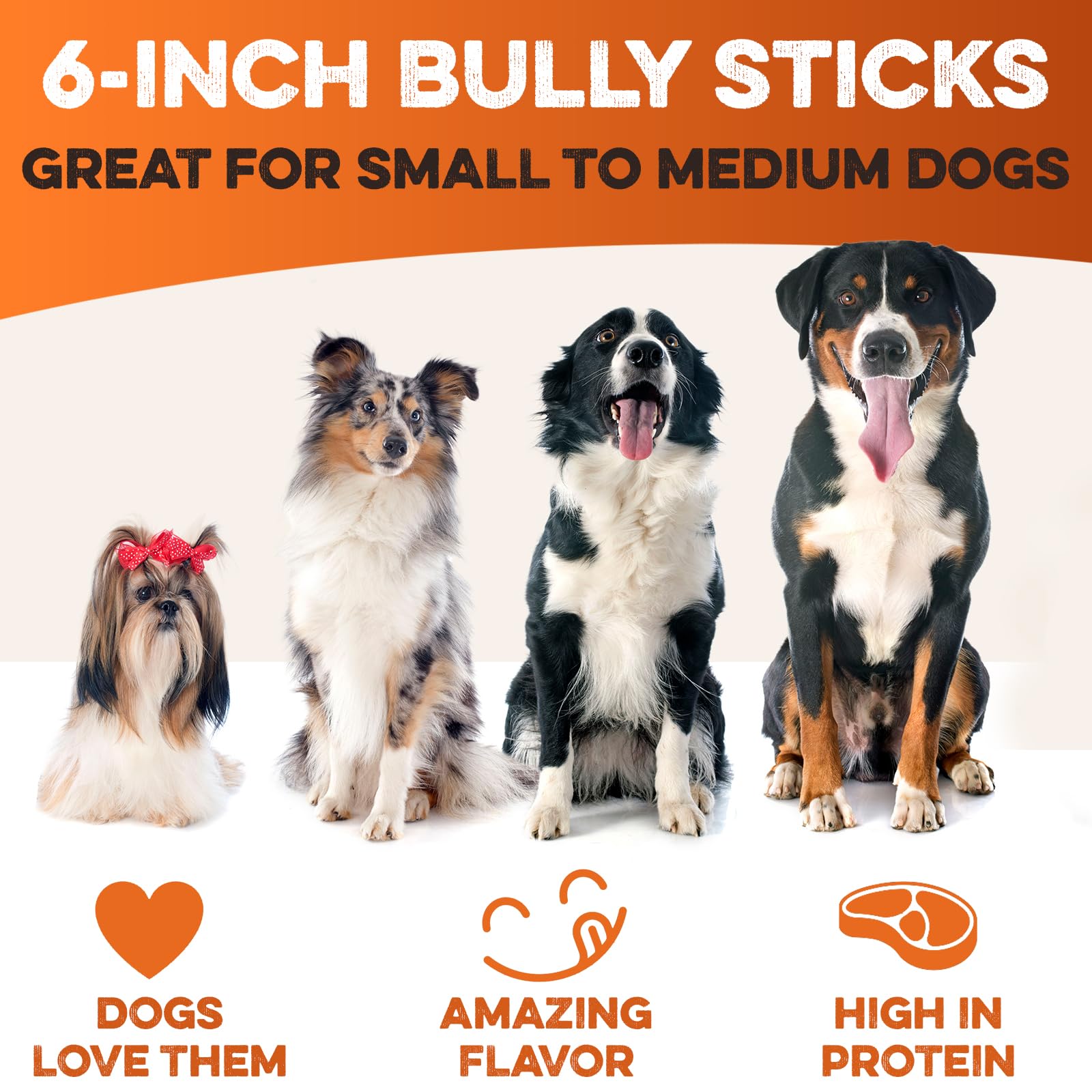 BRUTUS & BARNABY 6 Inch Bully Sticks for Dogs (10 Count) – Natural Grass-Fed Beef Chews, Odor Free, Single Ingredient, Fully Digestible, Rawhide Free for Small, Medium & Large Dogs
