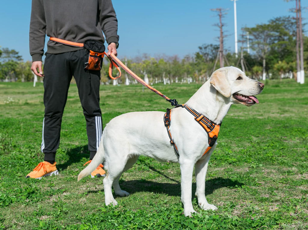 TRUE LOVE Adjustable No-Pull Dog Harness Reflective Pup Vest Harnesses Comfortable Control Brilliant Colors TLH5651(Black,XS)
