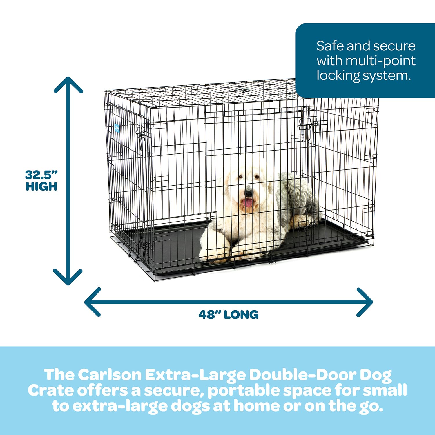 Carlson Secure and Compact Double Door Metal Dog Crate, Medium with Divider Panel