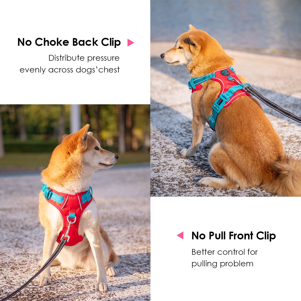 PHOEPET No Pull Dog Harness, Unique Colors Reflective Adjustable Dog Vest, with Soft Training Handle Metal Clips for Small Medium Large Dogs (Baby Blue Base & Pink Straps,S)