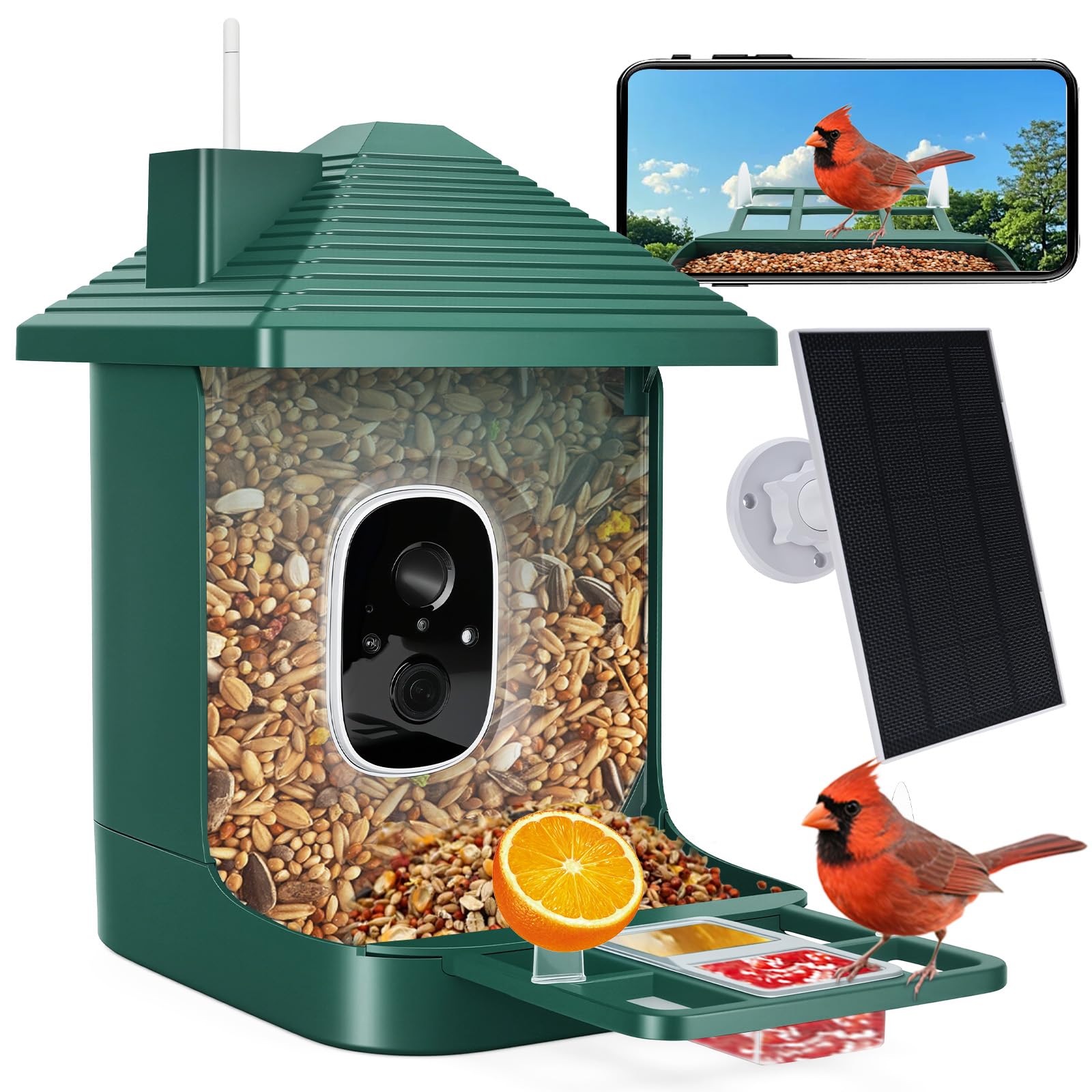 Smart Bird Feeder with Camera,AI Identify Species,Bird House with Solar Powered,Instant Arrival Alerts,2K Capture Video,Live View for Lover (Blackish Green)