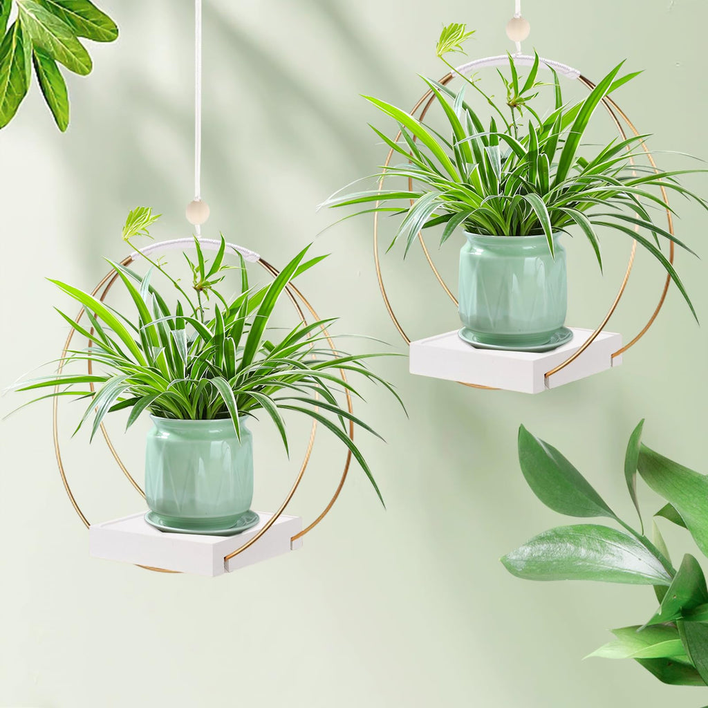 Hanging Planter for Indoor Plants, Black Plant Hanger Indoor with Sturdy Wood Base, Modern Boho Macrame Plant Hanger for 3-5.5 Inch Pot, Hanging Wall Ceiling Window Home Decor (Pots Not Included)