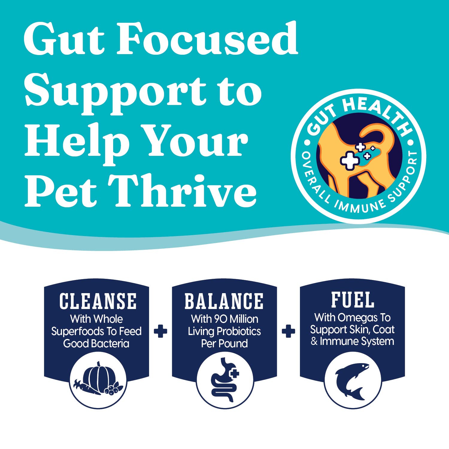 Solid Gold Toy & Small Breed Dry Dog Food Small Bites – Real Beef, Grain Free, Gluten Free, High Fiber Kibble with Probiotics for Gut Health & Digestion Support – Healthy Dog Food All Ages – 4LB