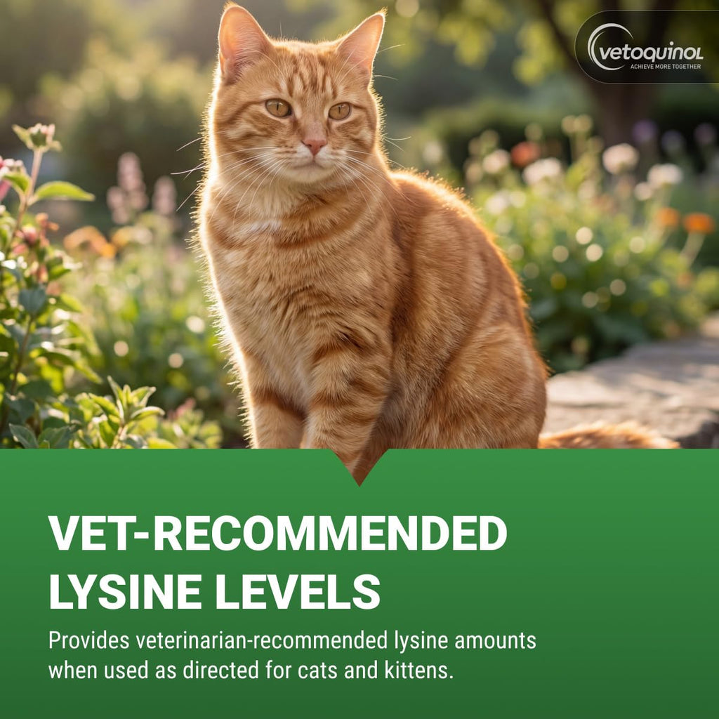 Vetoquinol Viralys - Lysine Supplement for Cats & Kittens - Supports Eye Wellness, Respiratory Health & Immune Strength - Flavored Oral Powder for Easy Feeding & Daily Use - 100 Grams