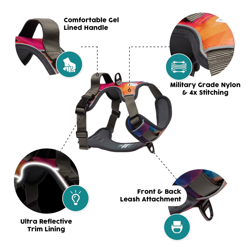 Embark Adventure Dog Harness for Small, Medium & Large Dogs – No Pull, Reflective Trim, Heavy Duty Oxford, 2 Leash Clips, Gel-Lined Handle, Soft Padded