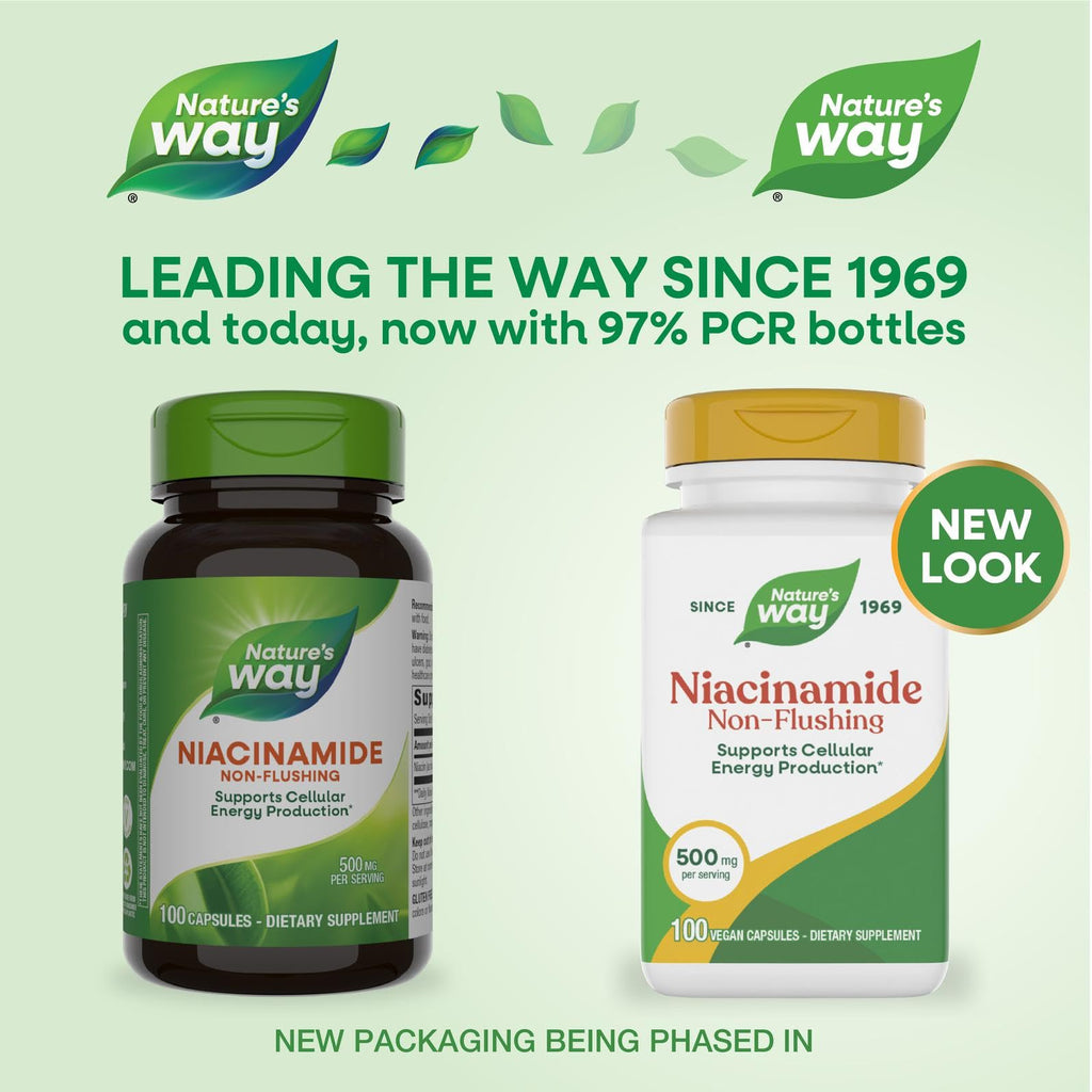 Nature's Way, Niacinamide, 500 mg, 100 Capsules