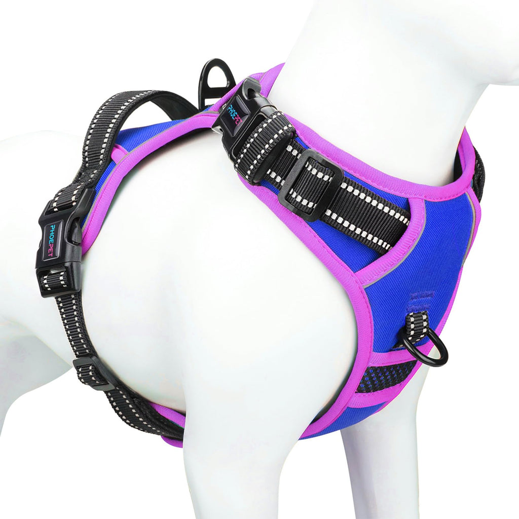 PHOEPET No Pull Dog Harness, Unique Colors Reflective Adjustable Dog Vest, with Soft Training Handle Metal Clips for Small Medium Large Dogs (Baby Blue Base & Pink Straps,S)