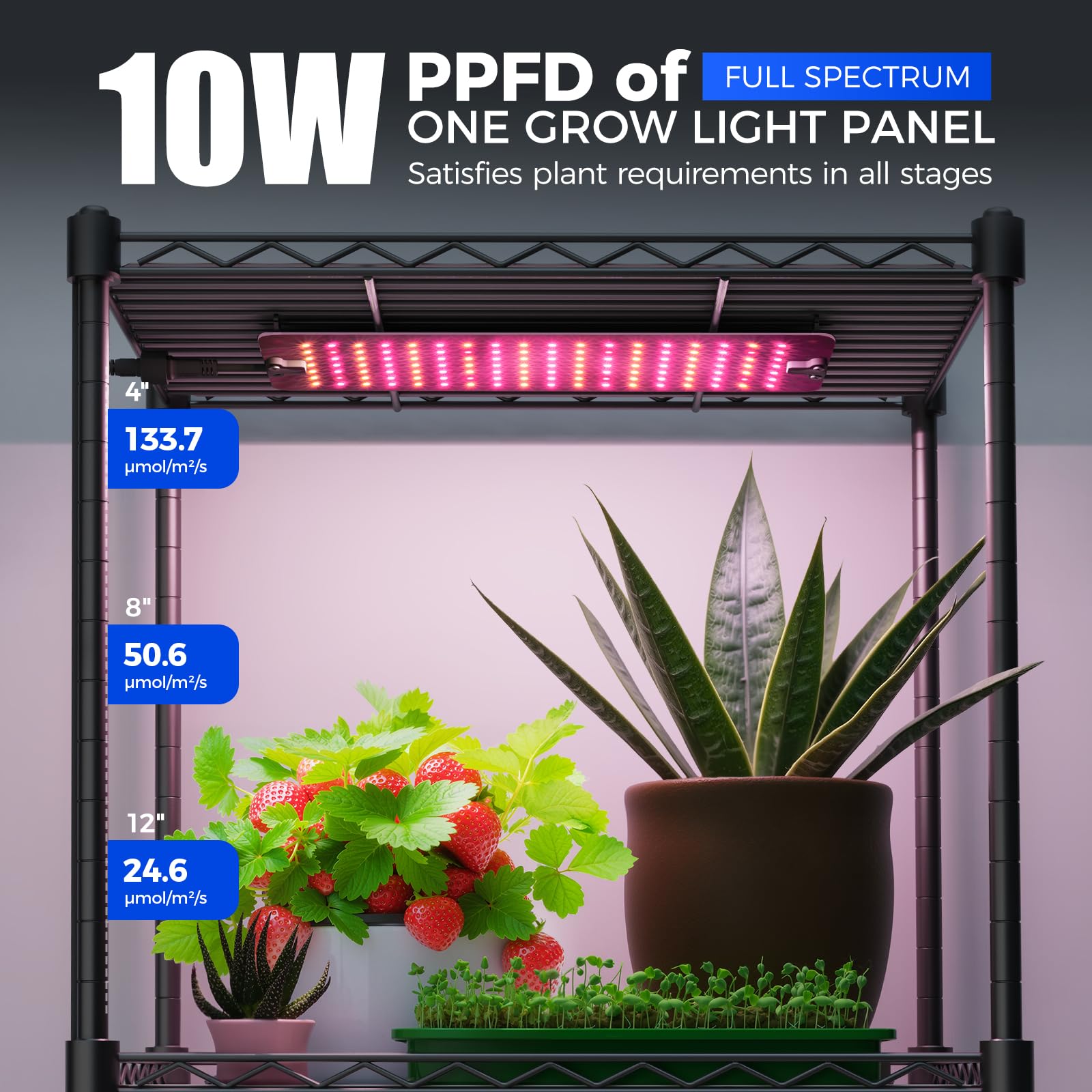 CX2 Plant Stand with Grow Lights for Indoor Plants, 6-Tier Metal Plant Shelf Display Rack with 2FT 150W Full Spectrum Plant Light, 3 Adjustable Spectrum, Timer, for Growing, 29.5x13.8x71IN