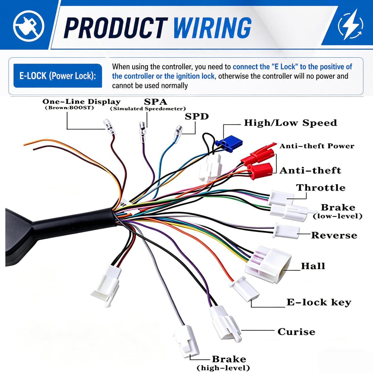 36V Motor Kit 1000W Electric Brushless DC Motor Kit 5.7N.M Go Kart Electric Motor 3100RPM Electric Dirt Bike Motor No Bracket BLDC Motor for Electric Scooter Ebike Controller Ebike Throttle with Key