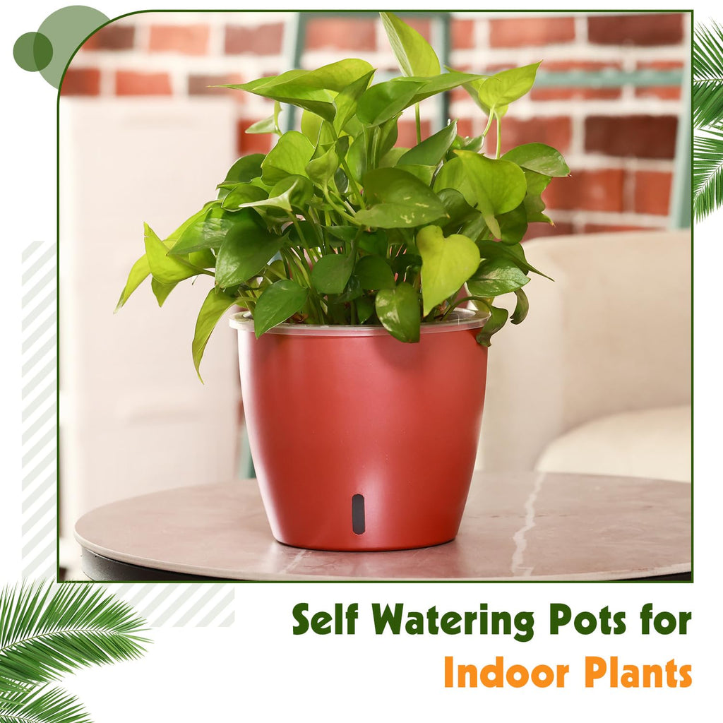 Self-Watering Pots for Indoor Plants, 16-Pack Self Watering Planter with Drainage Holes, Small African Violet Pots with Water Indicator, 10-Pack 5''/6-Pack 6.7'' Orchid Pot, Black