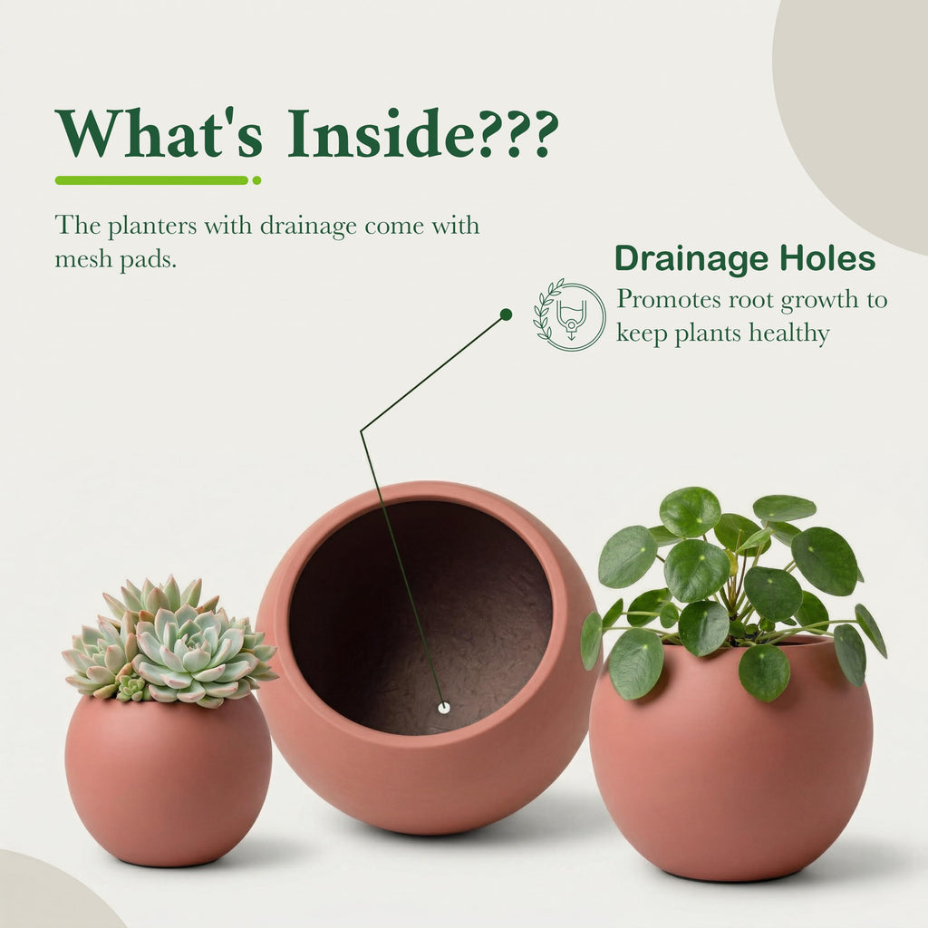 DTY Fiberstone Globe Planter Indoor Outdoor — Lightweight Sphere Ball Pot for Olive Tree, Monstera & Palm | Fiberglass Stone | UV Resistant, Drainage Hole | 2 Coco Mats | Black | 12.6" D × 10" H