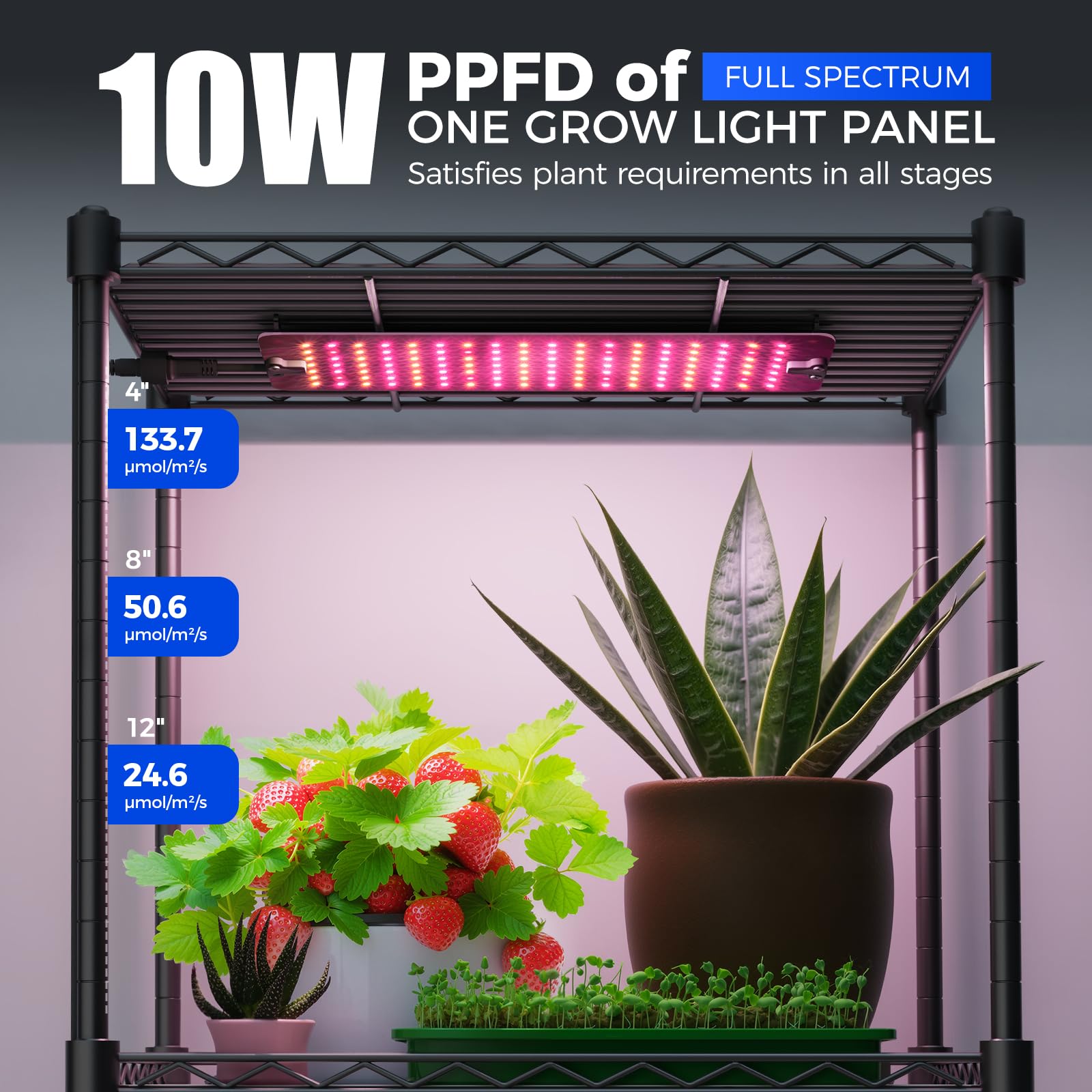 CX2 Plant Stand with Grow Lights for Indoor Plants, 6-Tier Metal Plant Shelf Display Rack with 2FT 150W Full Spectrum Plant Light, 3 Adjustable Spectrum, Timer, for Growing, 29.5x13.8x71IN