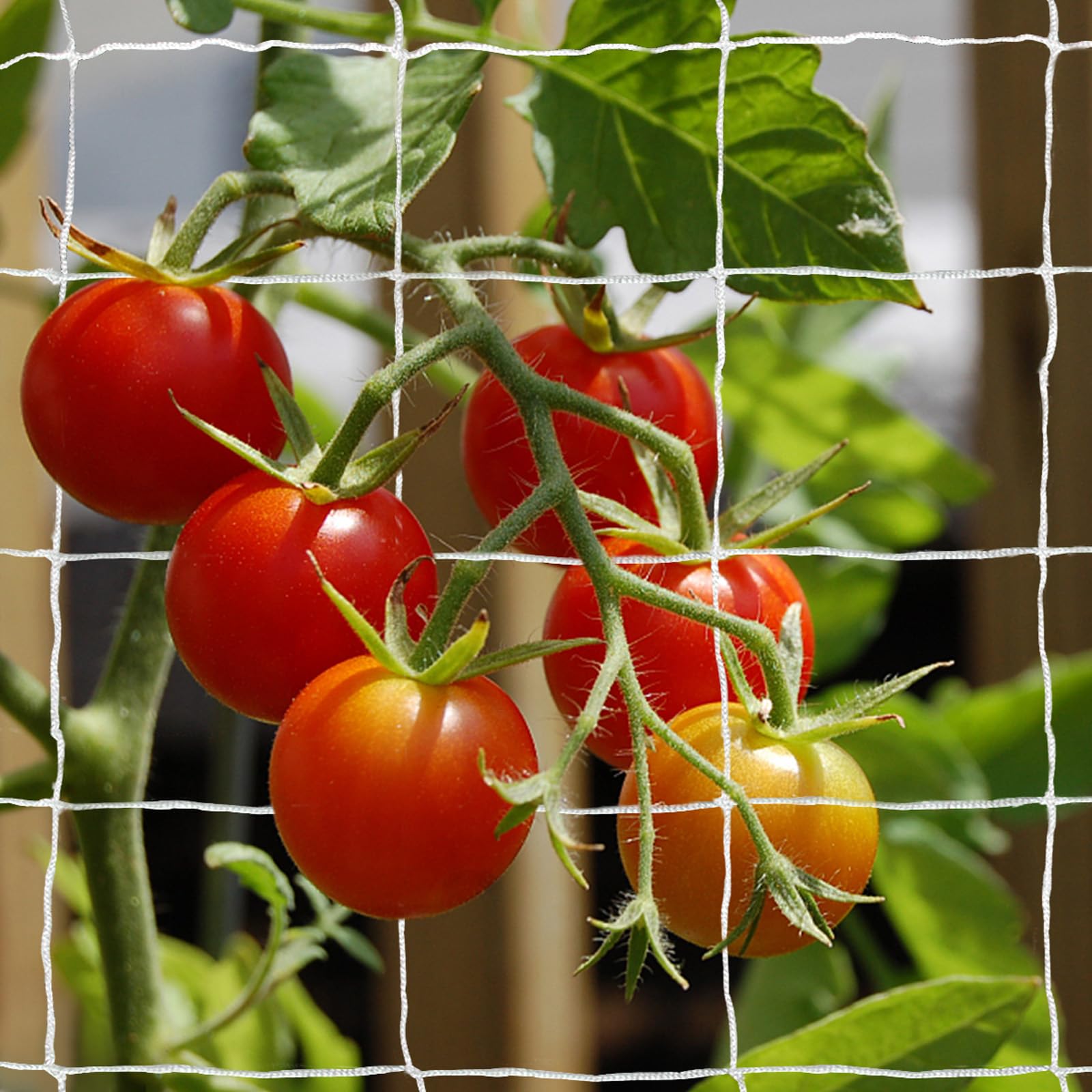 Tcamp Heavy-Duty Polyester Garden Trellis Netting Plant Climbing Net for Growing Vines Plants Vegetables Fruits Flowers, White Grow Tent (5Ft x15Ft, 3.5" Opening Mesh, 1 Pack)