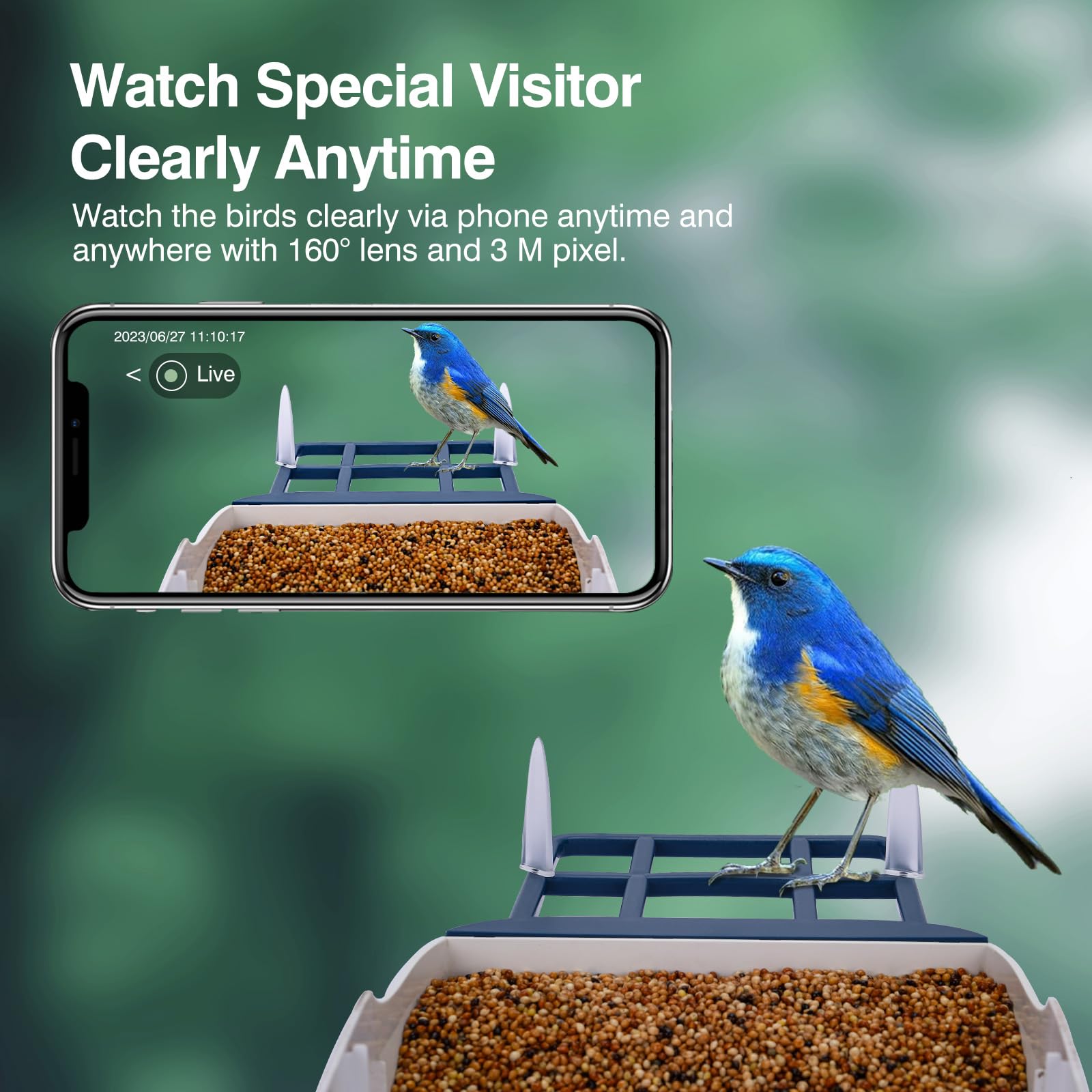 Smart Bird Feeder with Camera,AI Identify Species,Bird House with Solar Powered,Instant Arrival Alerts,2K Capture Video,Live View for Lover (Blackish Green)