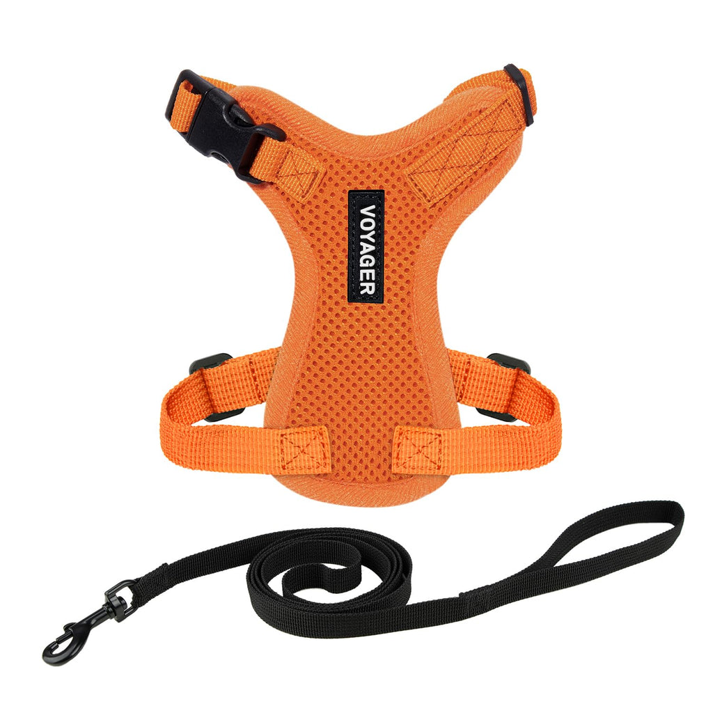 Voyager Escape-Proof Step-in Lock Cat Harness & 5ft Neoprene-Handle Leash Set All-Weather Mesh with Reflective Stitching for Small to Large Cats by Best Pet Supplies, Army (327), XXXS