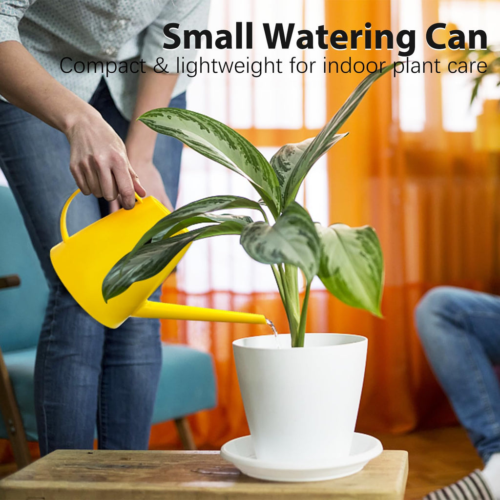 60 oz Watering Can for Indoor Plants, Small Plastic Watering Cans with Removable Nozzle, Long Spout Indoor Water Can for House Plants, Garden Flowers (1.8L 1/2 Gal)