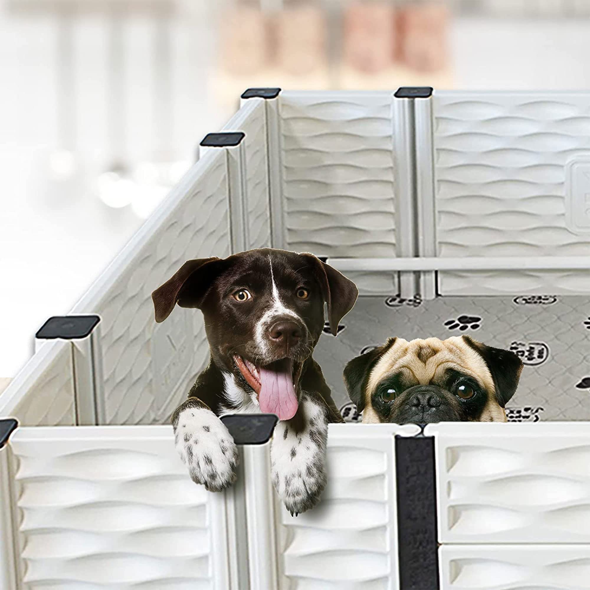 EZwhelp EZclassic Windowed 48"x48"x18" Whelping Box with Rails and Windowed Walls, Padded Dog Whelping Box, Black Pad