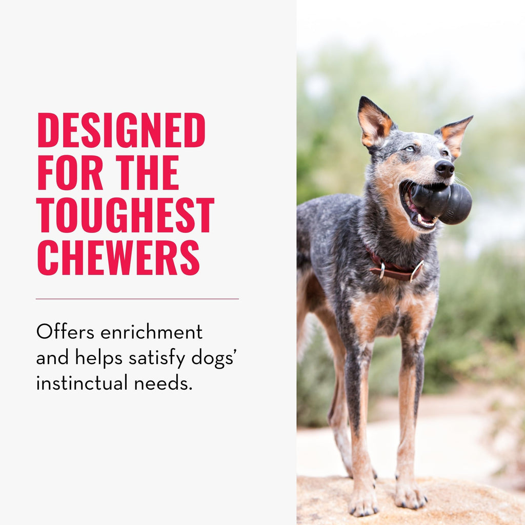KONG Extreme Dog Toy - Fetch & Chew Toy - Treat-Filling Capabilities & Erratic Bounce for Extended Play Time Most Durable Natural Rubber Material - for Power Chewers - for Small Dogs