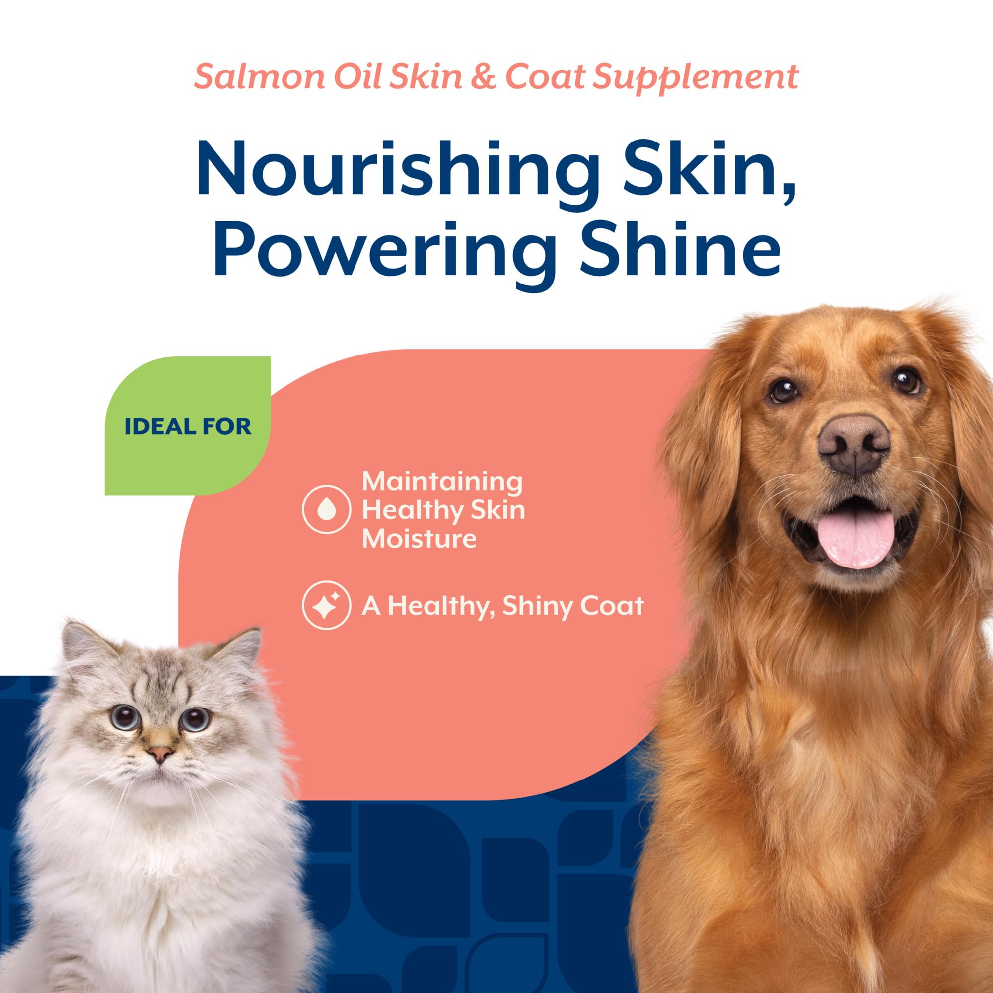 NaturVet – Salmon Oil Skin & Coat Plus Omegas – Supports Healthy Skin & Glossy Coat – Source of Omega-3 & 6 Fatty Acids – for Dogs & Cats (8.75 oz Oil)