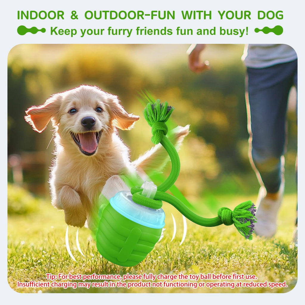 Interactive Dog Toy, [Newly Upgraded] Motion Activated Rolling Squeaky Ball for Medium/Large Dogs, Automatic Moving Dogs Ball for Boredom, USB Rechargeable(Cyan)