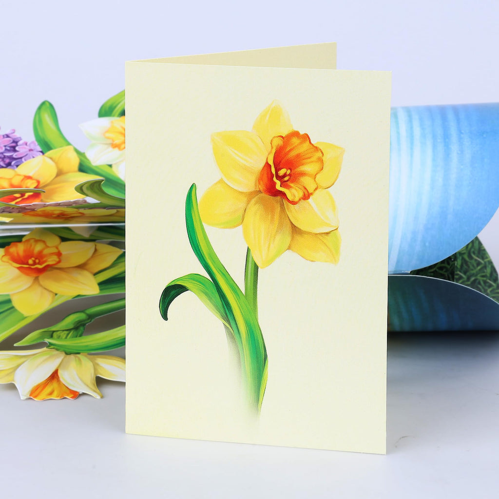 Airpark 3D Pop Up Paper Flowers Bouquet Card 12’‘ with Note & Envelope, Birthday Gifts, Get Well, Thank You, Greeting Cards for Women Mom Wife Friends, Daisies and Butterflies