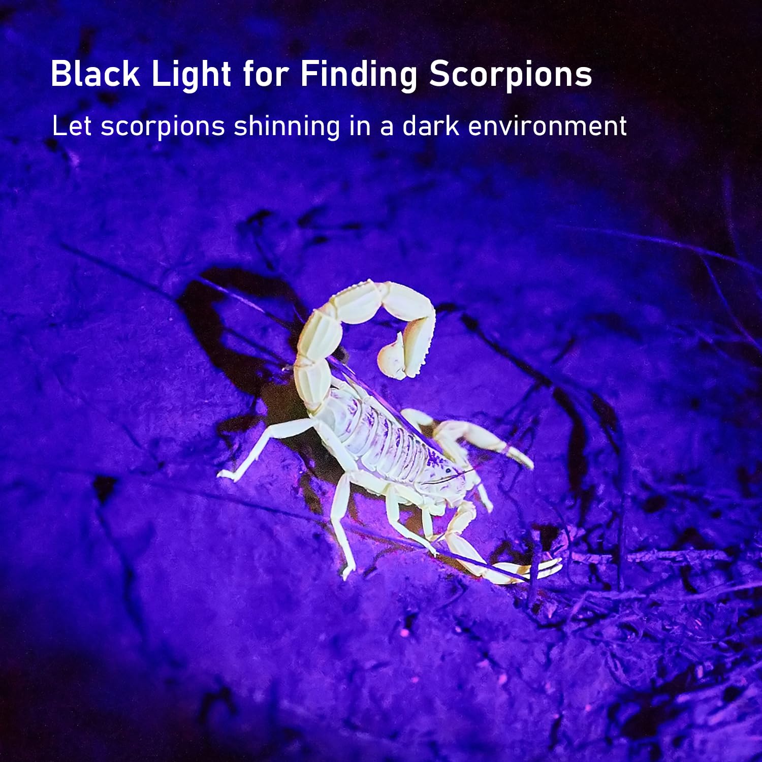 GLOSSDAY Blacklight Flashlight 68 LED UV Flash Light,Ultraviolet Flashlight Black Light Professional Pet Urine Detector for Dog/Cat Urine,Pet Stains,Hunting Scorpions