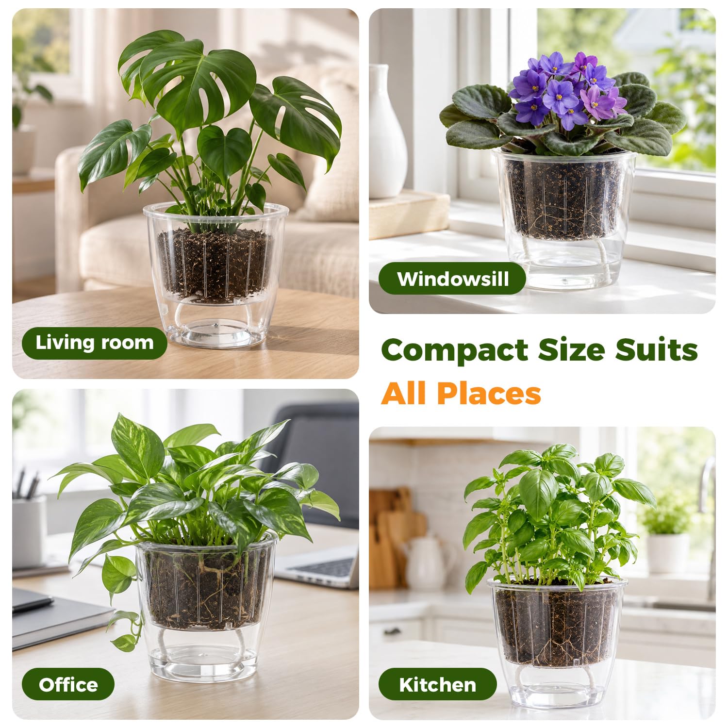 Self-Watering Pots for Indoor Plants, 16-Pack Self Watering Planter with Drainage Holes, Small African Violet Pots with Water Indicator, 10-Pack 5''/6-Pack 6.7'' Orchid Pot, Black
