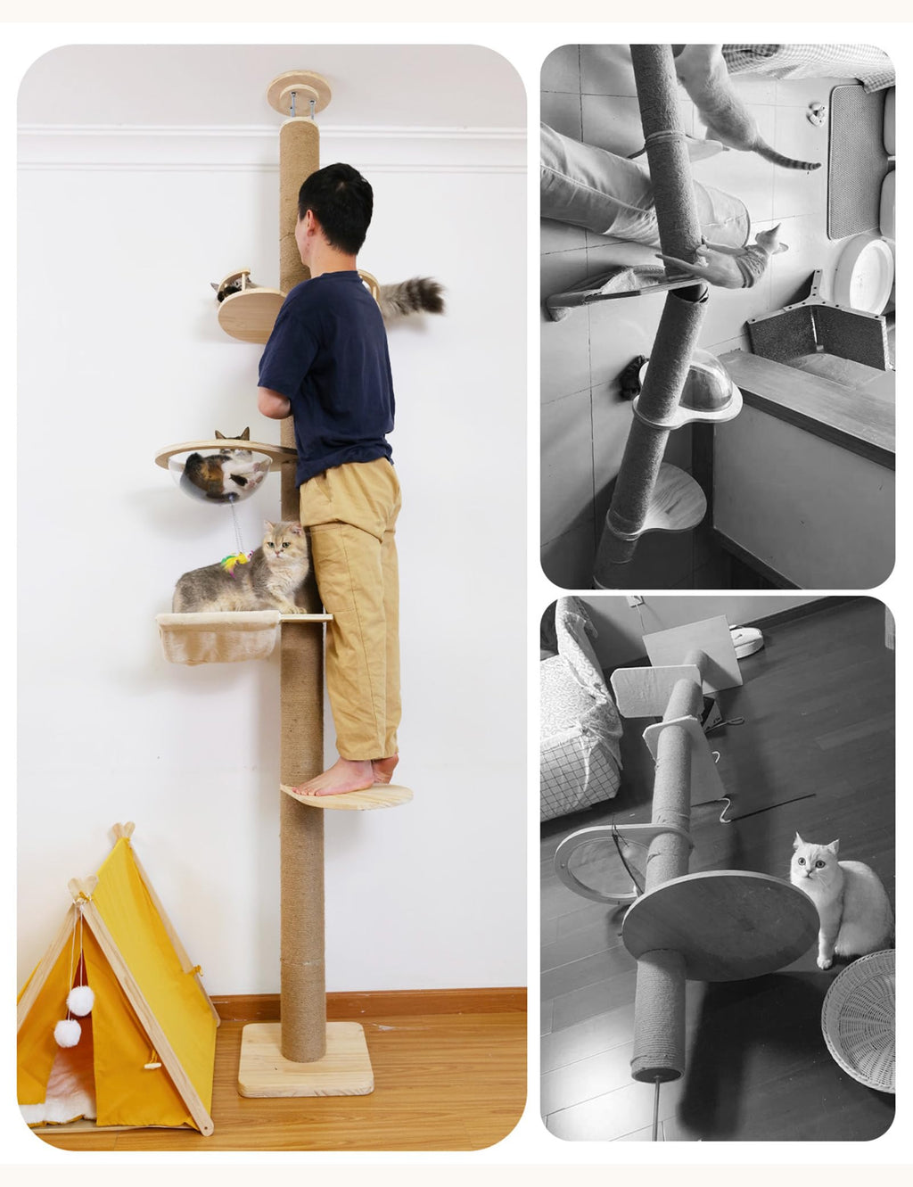 Floor-to-Ceiling Cat Tree with Natural Sisal Rope Scratching Post - Adjustable Height (55-119 Inches) - Modern Cat Activity Tree, Cat Scratcher Post