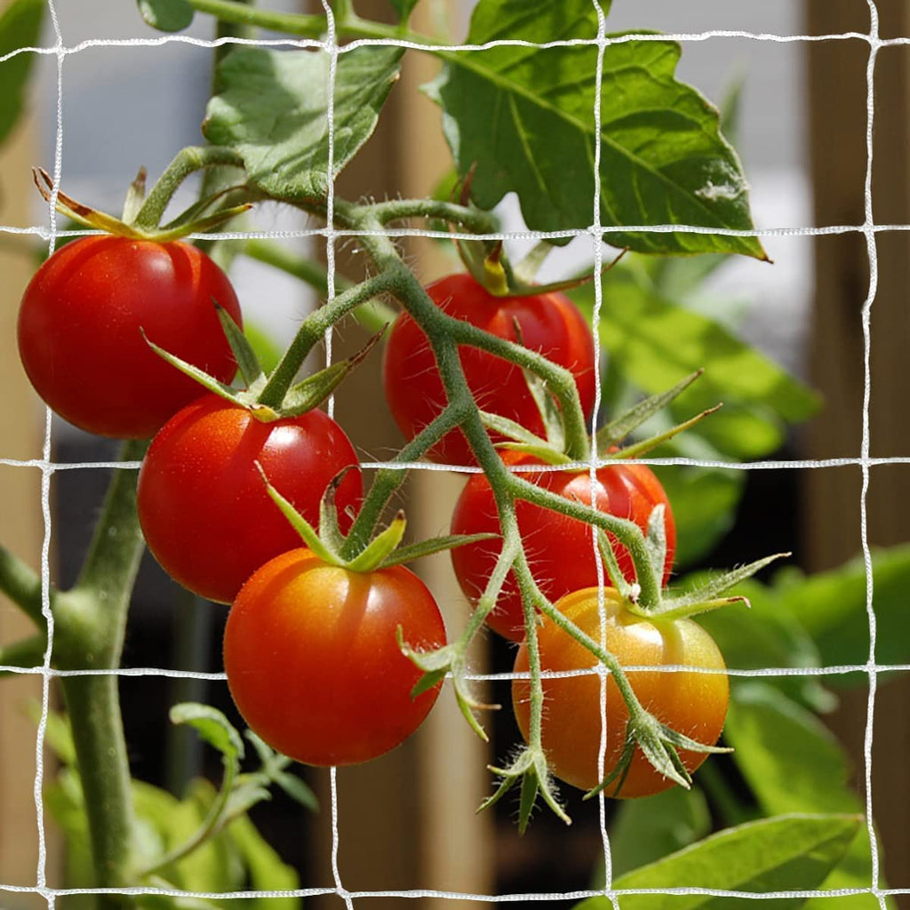 Tcamp Heavy-Duty Polyester Garden Trellis Netting Plant Climbing Net for Growing Vines Plants Vegetables Fruits Flowers, White Grow Tent (5Ft x15Ft, 3.5" Opening Mesh, 1 Pack)