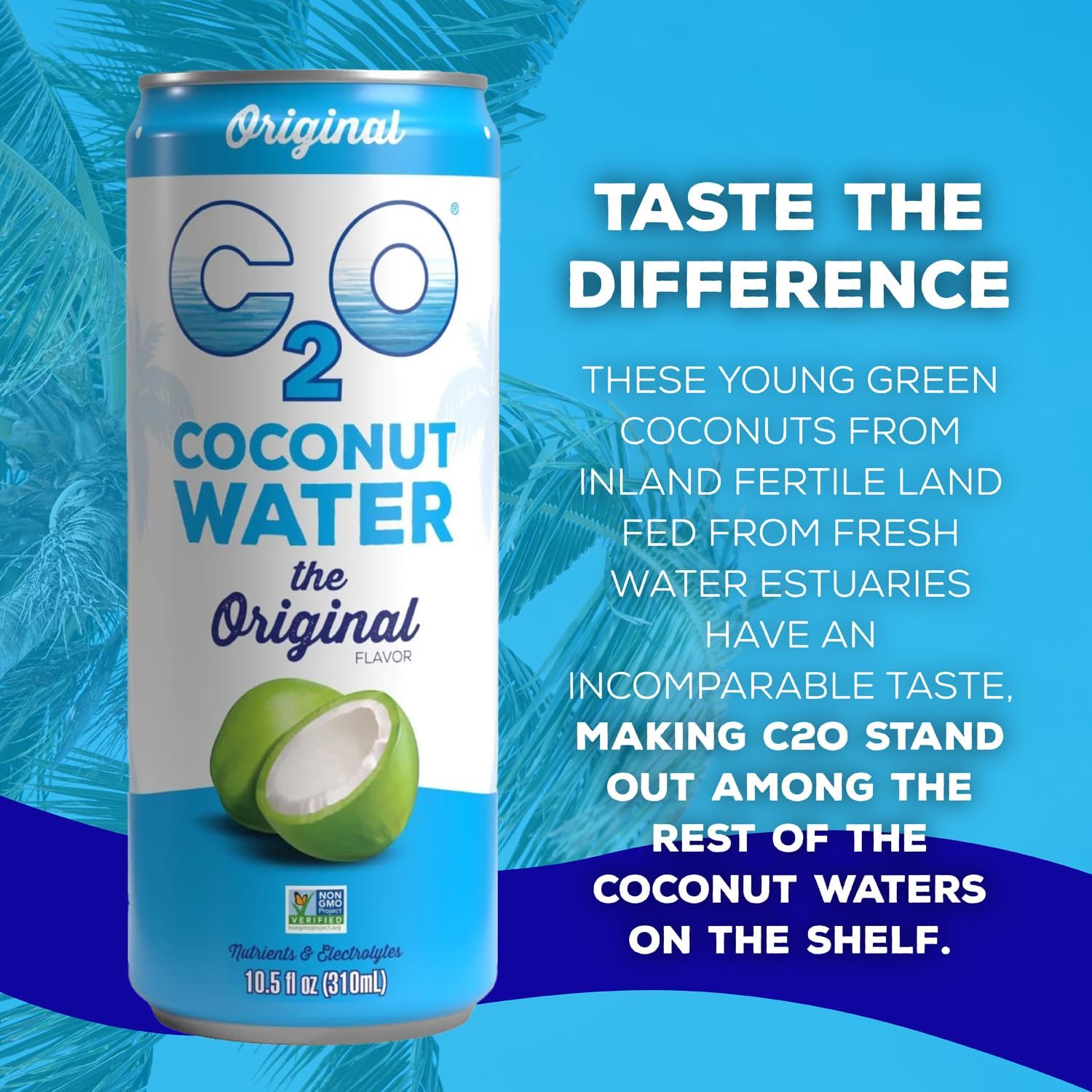 C2O - Coconut Water with Ginger, Lime, & Turmeric (12 Pack) - Made with Fresh Coconut Water - Plant Based - Non GMO - Canned Water - Natural Hydration, Electrolytes, & Potassium - 12 Cans, 17.5 FL OZ