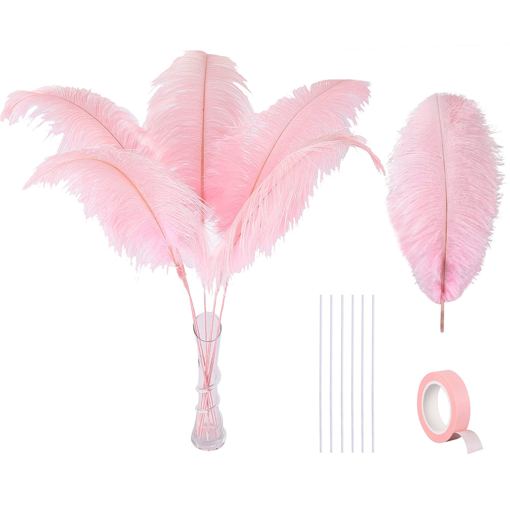 Ballinger Black Ostrich Feathers Bulk - Making Kit 12Pcs 16-18inch Large Ostrich Feathers for Floral Arrangement, Vase, Wedding Party Centerpieces and Halloween Home Decor