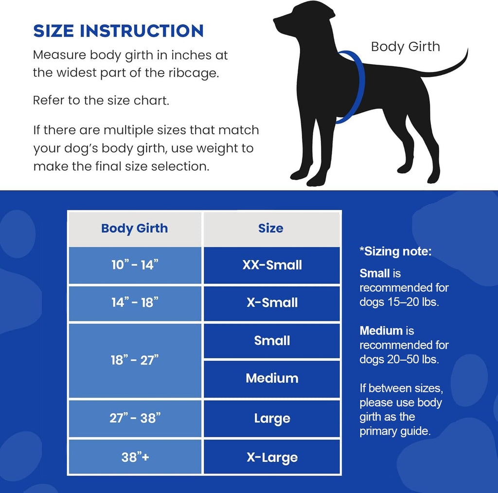 Dog Life Jacket — Premium Swim Vest with SafeChin Anti-Choke Collar | PAWS Aboard Blue & Yellow | RapidLift Rescue Handle, D-Ring, Reflective Trim | Boating, Kayaking, Pool | XX-Small (Under 6 lbs)