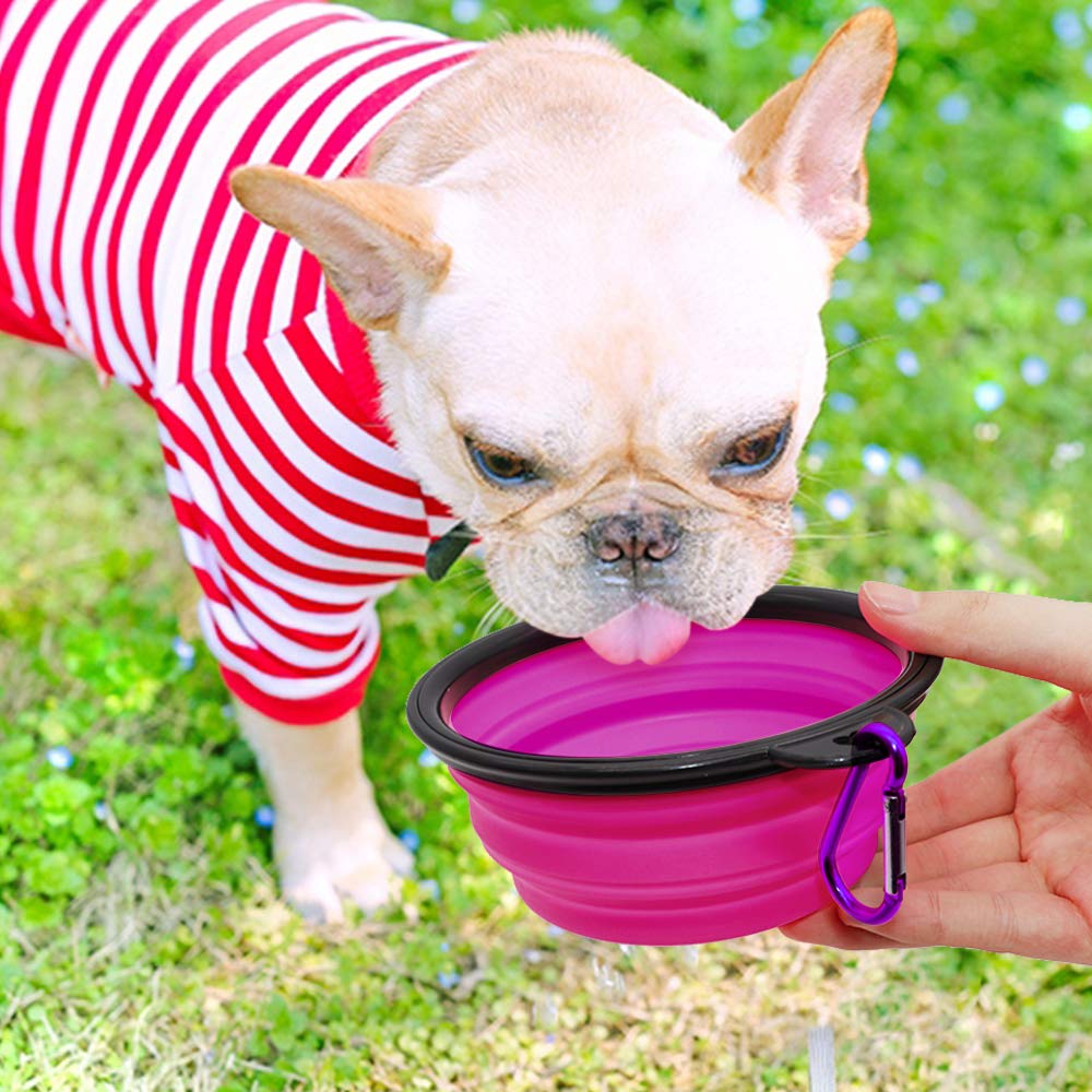 Dog Bowl Pet Collapsible Bowls, 2 Pack Collapsible Dog Water Bowls for Cats Dogs, Portable Pet Feeding Watering Dish for Walking Parking Traveling with 2 Carabiners (Small, Black & Pink)