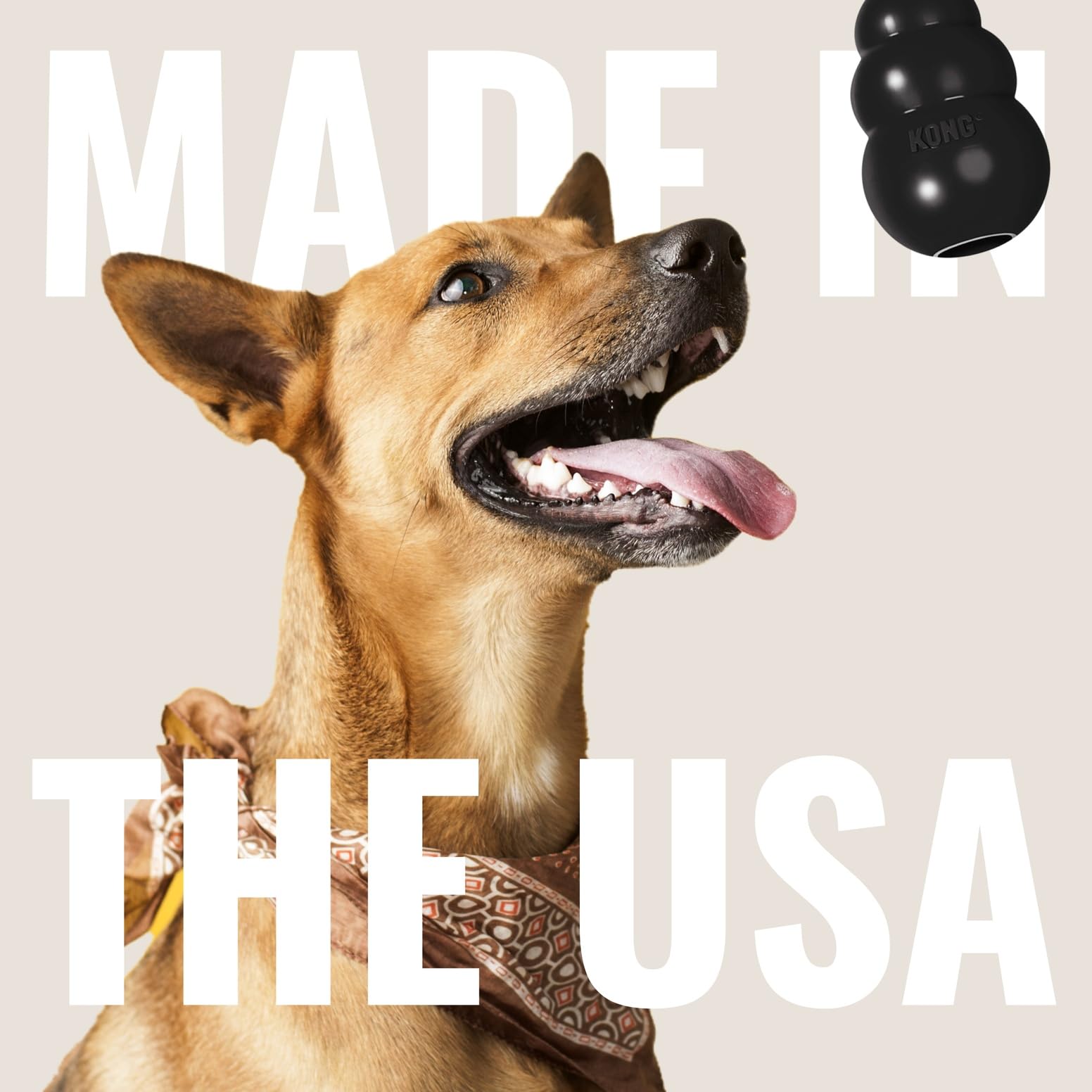 KONG Extreme Dog Toy - Fetch & Chew Toy - Treat-Filling Capabilities & Erratic Bounce for Extended Play Time Most Durable Natural Rubber Material - for Power Chewers - for Small Dogs