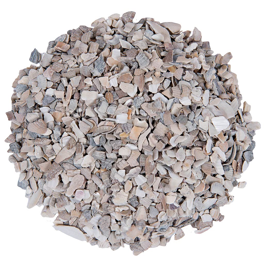 Small Pet Select Flaked Oyster and Seashell Mix-Calcium Supplement for Chickens & Ducks (5lb)