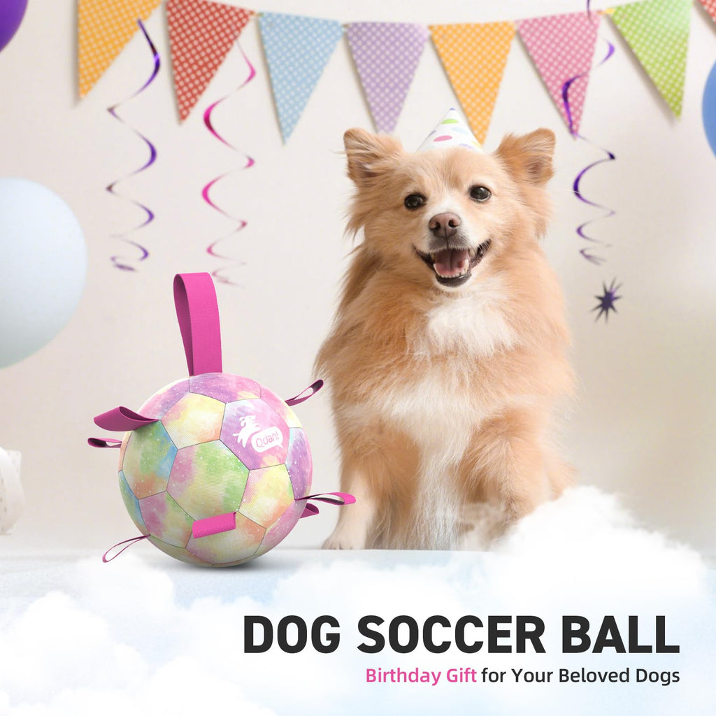 QDAN Dog Toys Soccer Ball with Straps, Durable Dog Balls for Tug of War, Puppy Birthday Gifts, Dogs Water Toy Small Dogs-Rainbow（5 Inch）