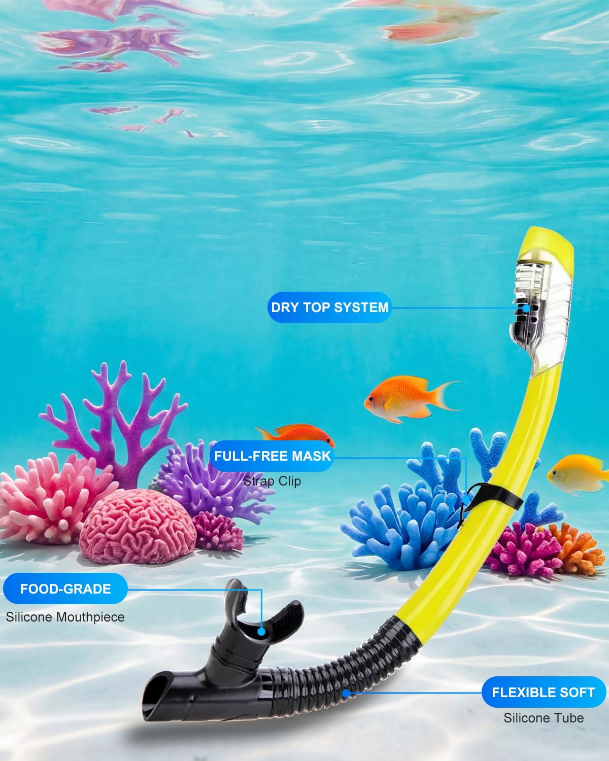 Snorkeling Gear for Adults, Dry Snorkel Mask Set, Scuba Diving Snorkle mask Set Adult, Panoramic Wide View Anti-Fog Dive mask, Swimming Diving Snorkeling Packages