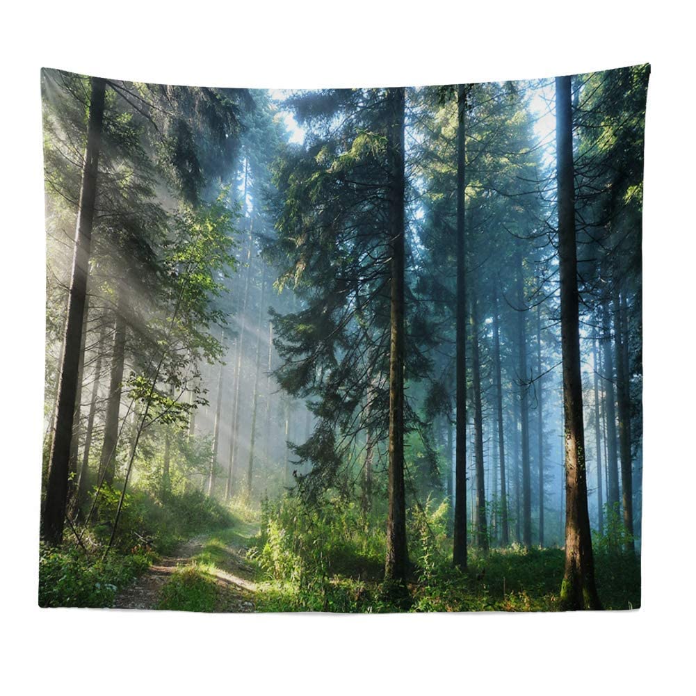 Llamazing Forest Landscape Home Decor - Living Room & Bedroom Magic Tapestry (Sunlight&Creek, 60''L51''W)