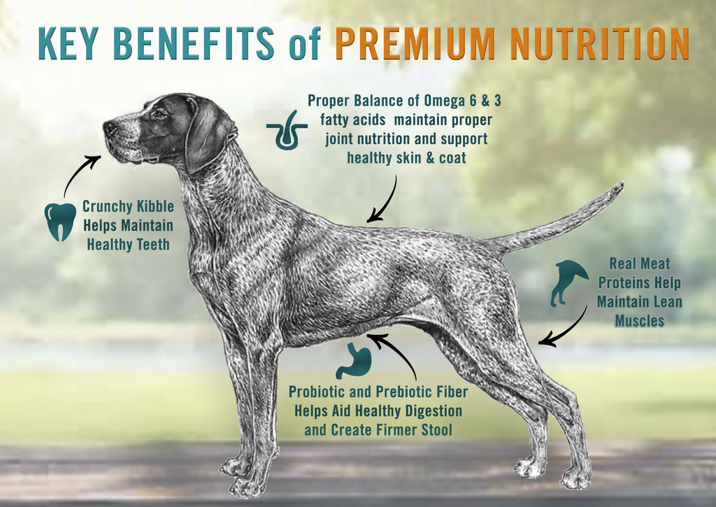 Chicken Soup for The Soul All Natural Premium Small Bites Adult Dry Dog Food, Real Meat First Ingredient, No by-Products, Supports Gut & Immune Health, Beef & Brown Rice, 13.5lb