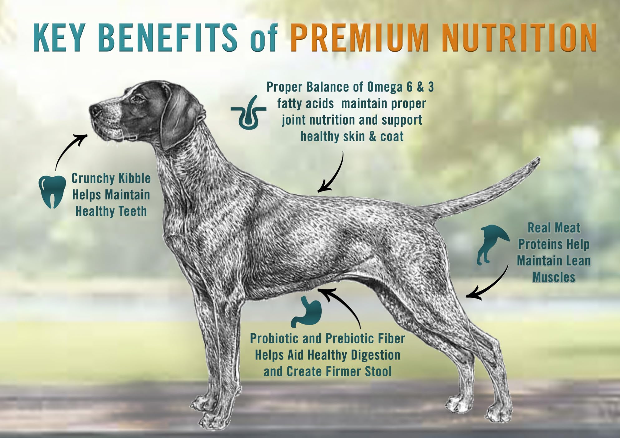 Chicken Soup for The Soul All Natural Premium Small Bites Adult Dry Dog Food, Real Meat First Ingredient, No by-Products, Supports Gut & Immune Health, Beef & Brown Rice, 13.5lb