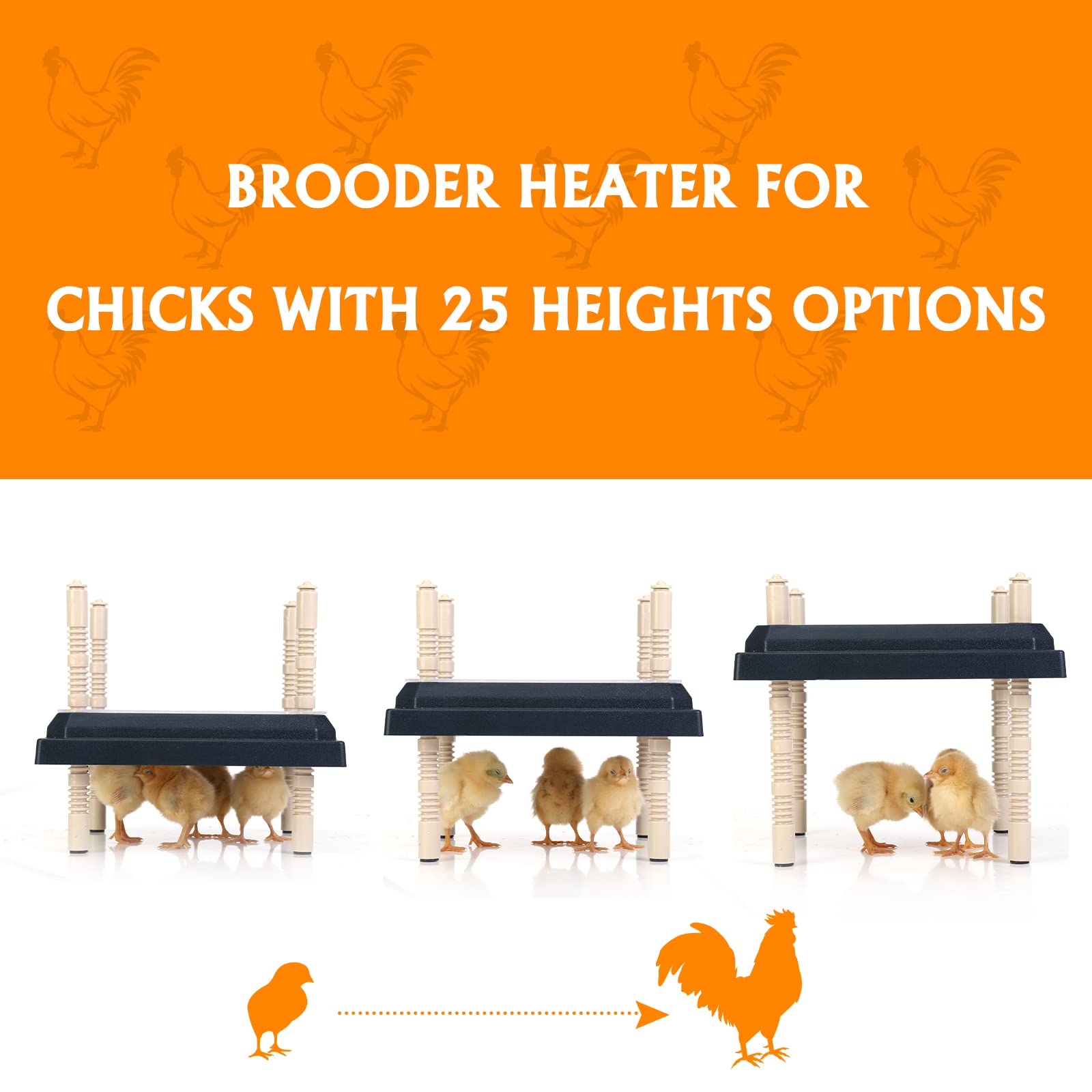 Brooder Heater for Chicks: Chick Brooder Heating Plate with Easy- Cleaning Plate Poultry Coop Heater Chicks Warmer 10" x 10" for 15 Chicks Adjustable Height Brooding Heater 15 Watts