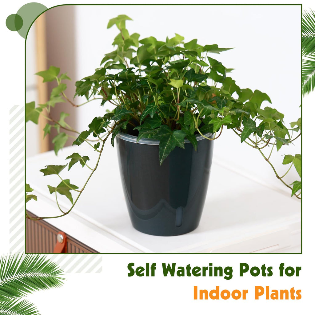 Self-Watering Pots for Indoor Plants, 16-Pack Self Watering Planter with Drainage Holes, Small African Violet Pots with Water Indicator, 10-Pack 5''/6-Pack 6.7'' Orchid Pot, Black