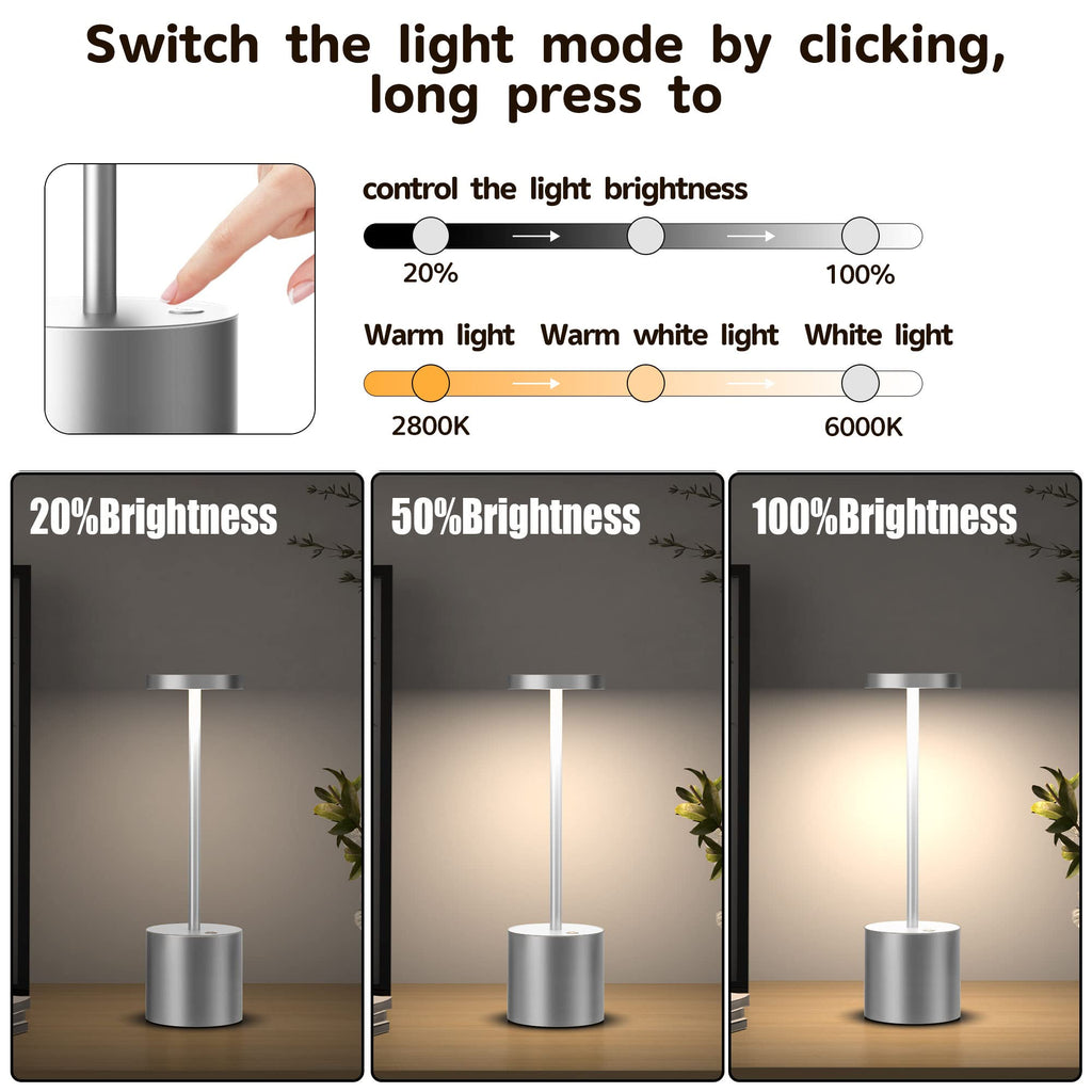 2Pack Cordless Table Lamp, Rechargeable LED Battery 5000mAh Metal USB Portable Powered Desk Lamp, 3 Levels Brightness Light for Restaurants Outdoor (2pack 10.25in Titanium)