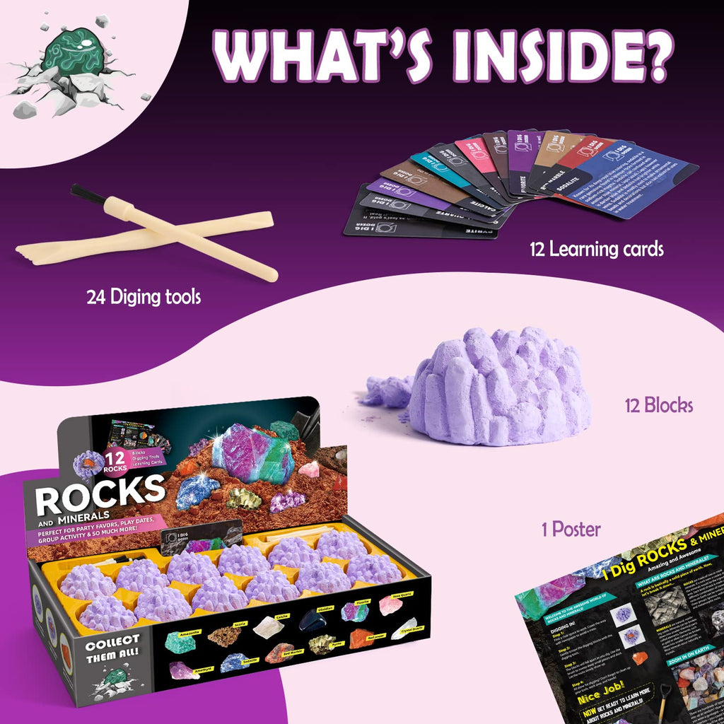 Gamerside Fossil Dig Kit - Educational STEM Science Toys for Kids Ages 6+ - Dig Up 12 Fossils Real & Dinosaur Bones Rocks - Digging Activities Kits - Paleontology, Discovery Gifts for Boys & Girls