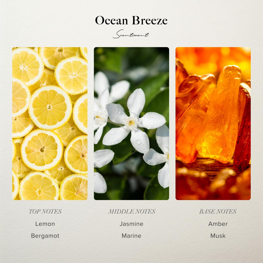 Scentiment French Hotel Diffuser Oil - Premium Hotel Scent with Notes of Clove, Patchouli & Sandalwood Home Scent, Aromatherapy Fragrance Oil Diffuser Refill - 0.68 fl oz (20 mL)