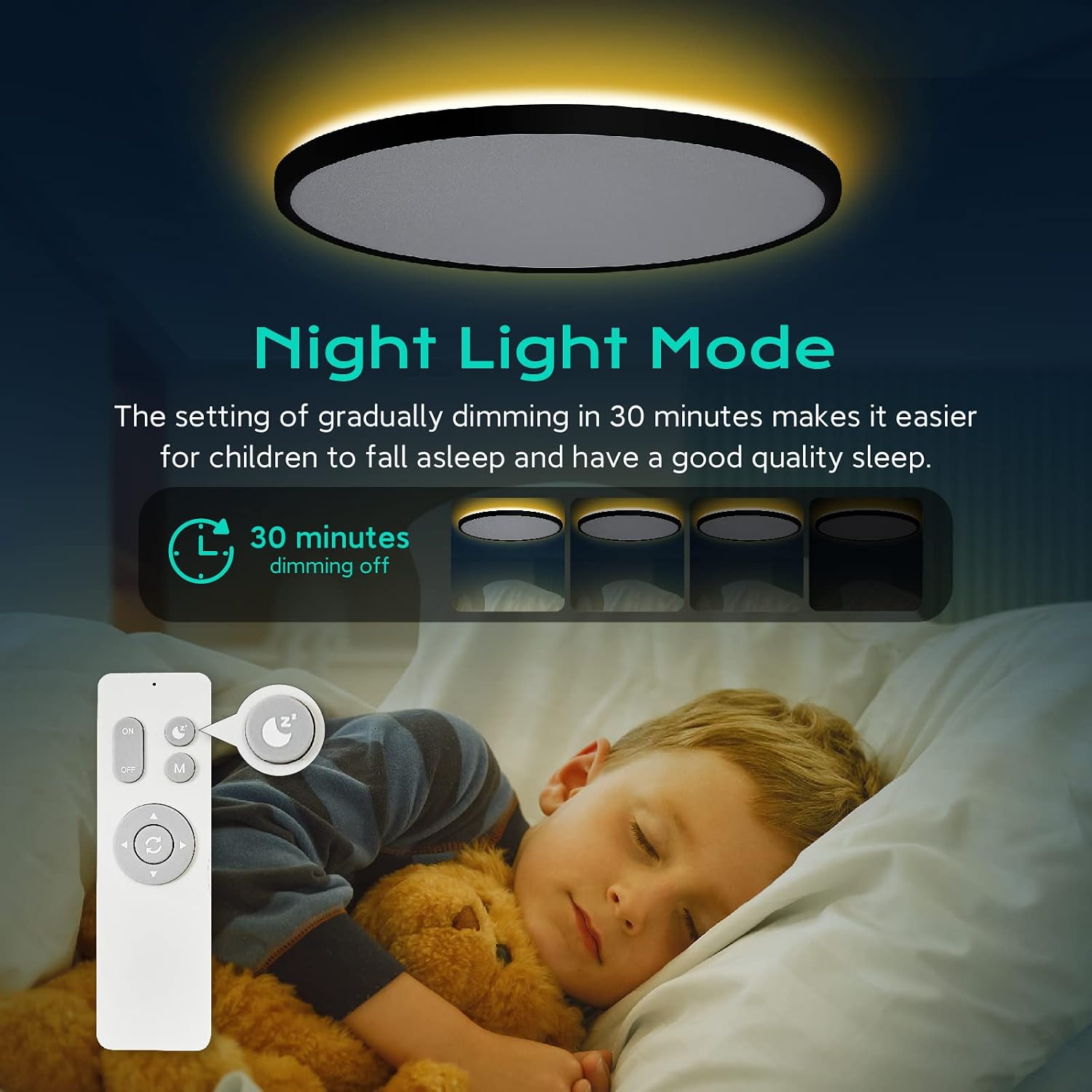 Roomratv Black Ceiling Light Fixture with Remote Control, with 3000K Warm Nightlight, 12inch 24W Flush Mount Ceiling Light, 3 Light Color Changeable, Brightness(10% to 100%) Adjustable