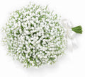 15 PCS Babys Breath Artificial Flowers Fake Babys Breath Flowers Artificial Bulk Blue Gypsophila Bouquets Real Touch Faux Flowers for Wedding Floral Arrangement Party Home Decoration